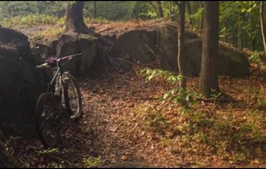Eddie's Bicycles And Sport Equipment