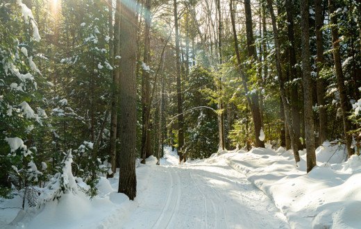 Viking Nordic Center