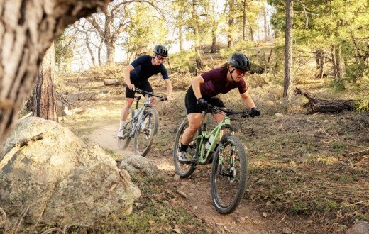 Cycle Craft's Rock N Root