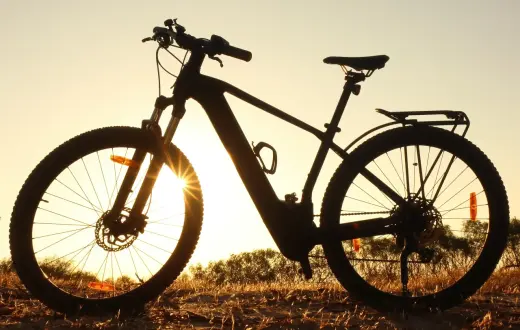 Rats Cycles