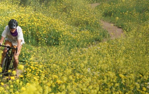 Grove Street Bicycles