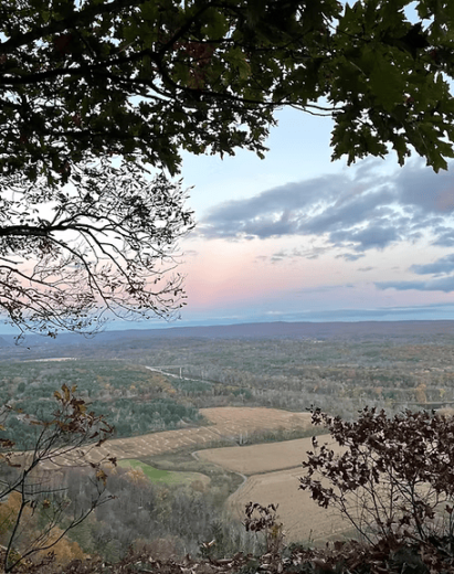 Action Bikes and Outdoor (ABO)