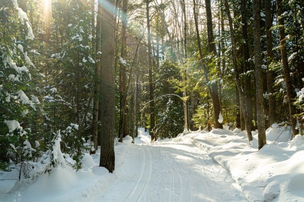 Viking Nordic Center