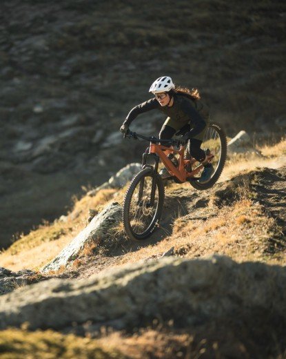 The Elephant's Perch