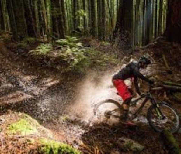 Bangtail Bikes & Xc Skis