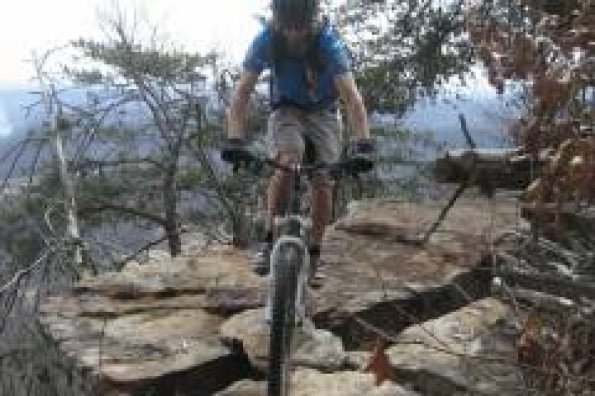 F.C. Pedaler Bicycle Shop