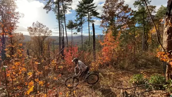 Nimblewheels Bicycles