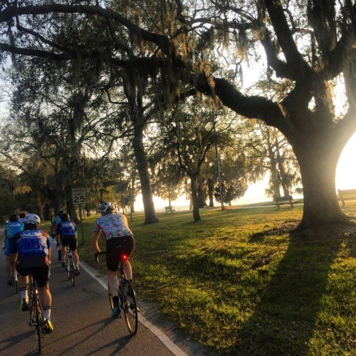 Pro Cycle and Triathlon