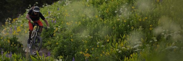 Country Pedaler Bikes & Skis