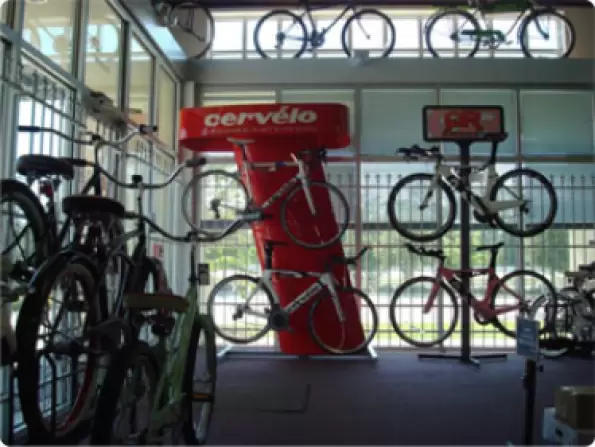 Bike Lane Of Houston