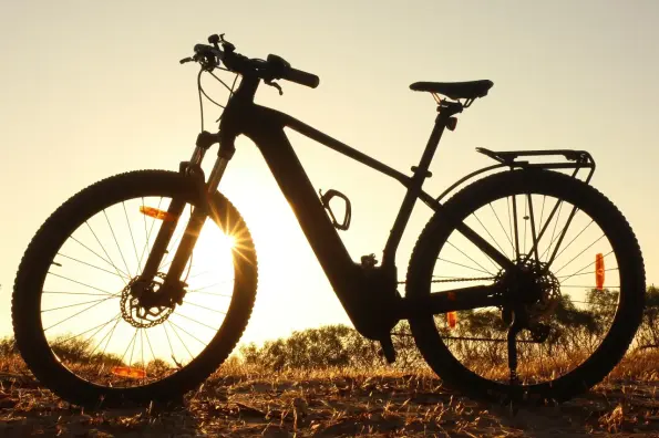 Rats Cycles