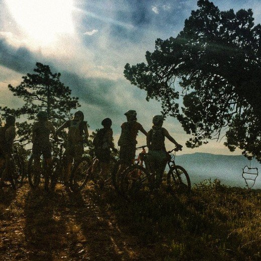 Soul Ride Bike Shop & Taproom