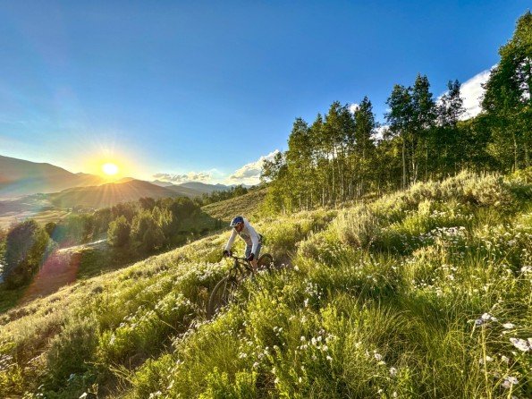 Big Al's Bicycle Heaven
