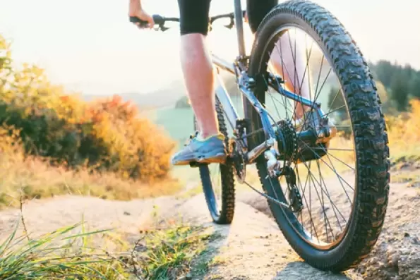 All Mountain Cyclery