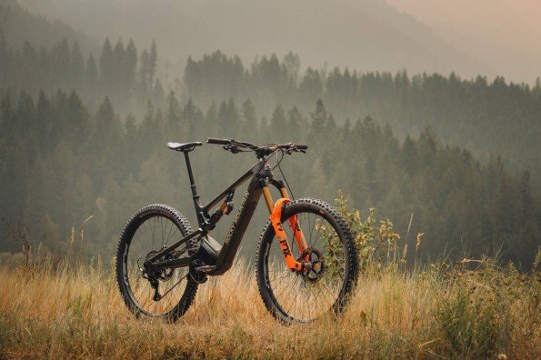 Mountain Dog Cycling