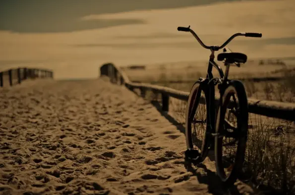 Fat Frogs Bike & Fitness
