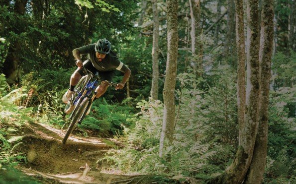 Chain Reaction Bicycles