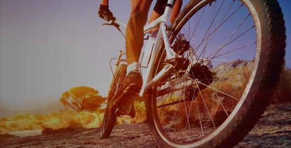 Bicycles International