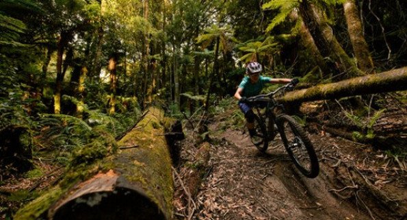 Biker's Choice - Mt. Juliet