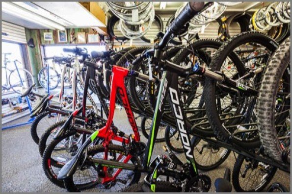 Board & Buckle Cyclery