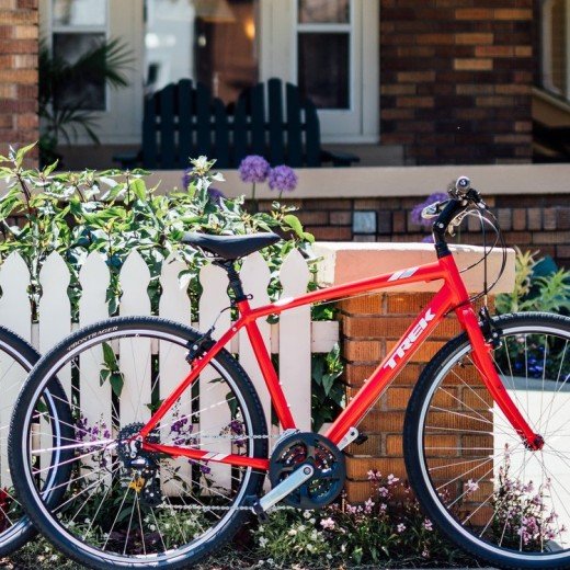 Top Gear Bicycle Shop